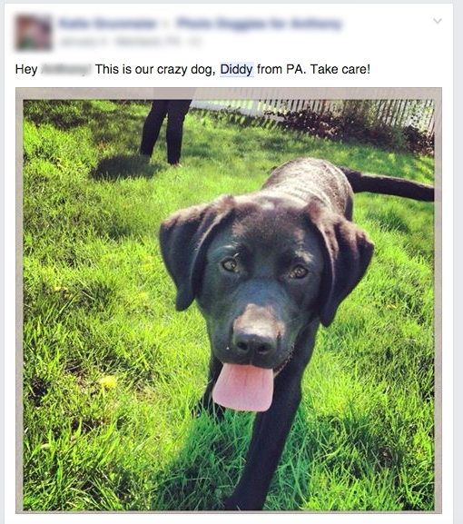 Facebook post of Diddy the dog