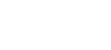 Nonstop Couriers Logo